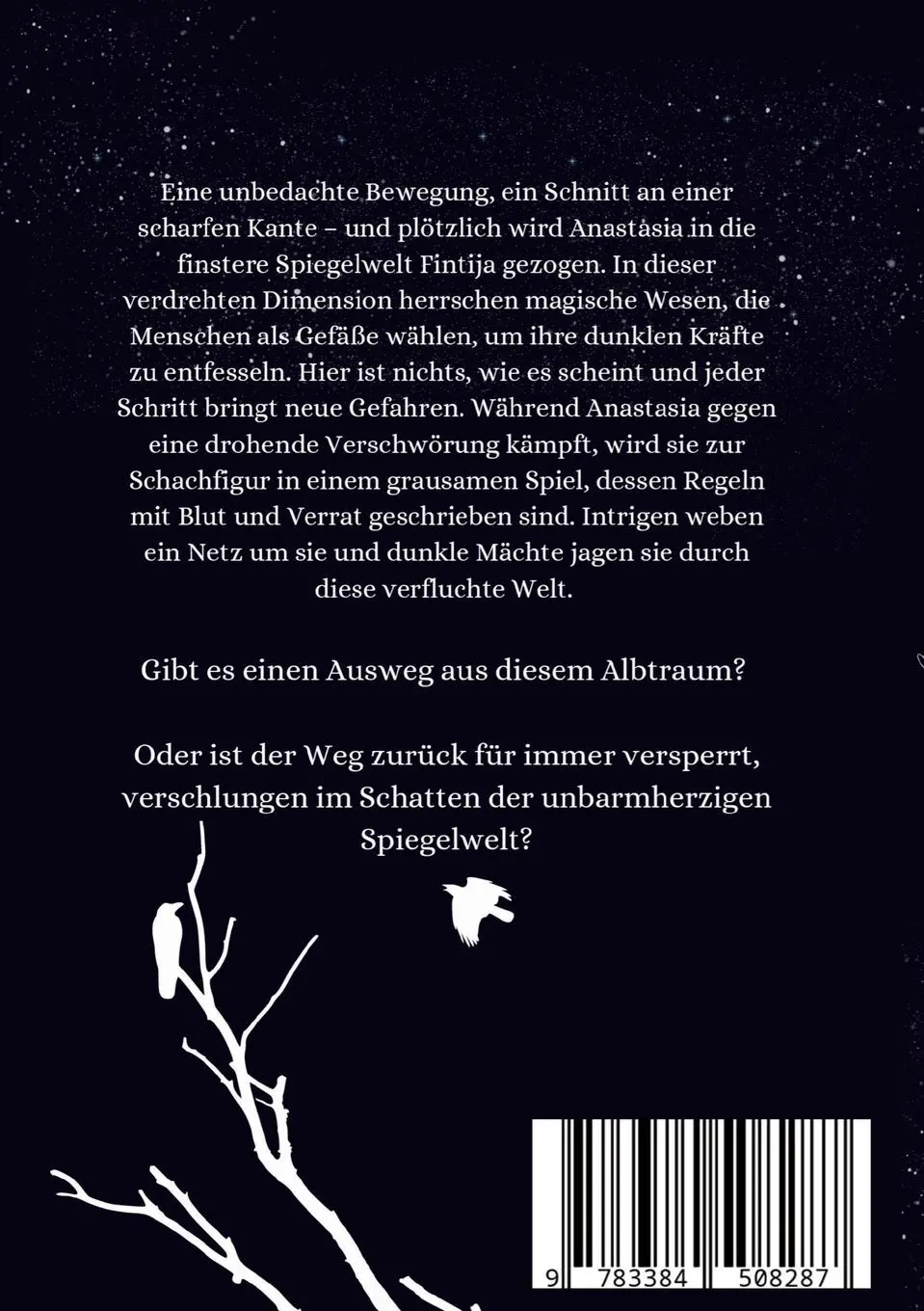 Rückseite: 9783384508287 | Fintija | Magic of the Mirror World | Nadine Igler | Taschenbuch