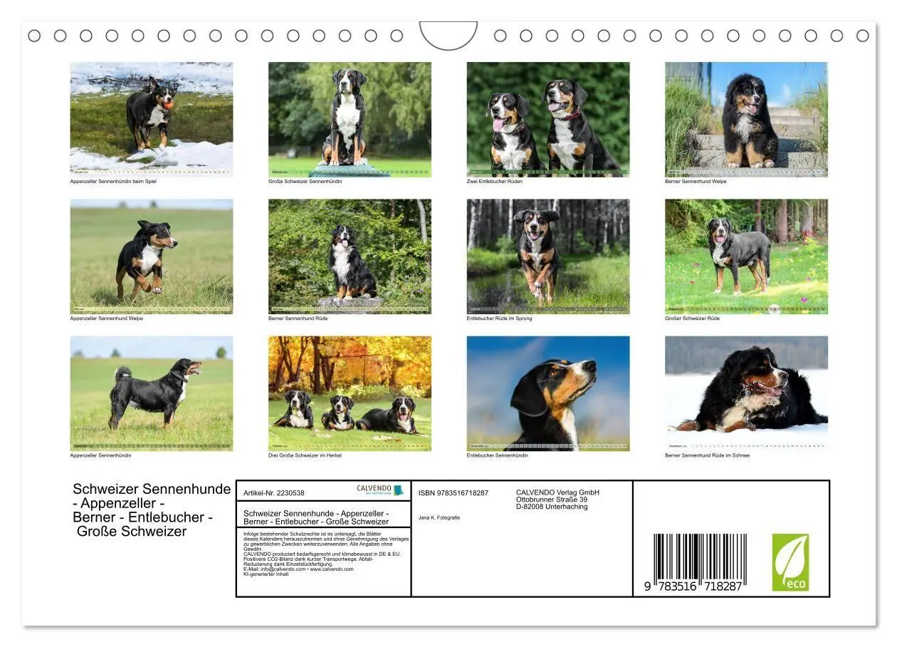 Bild: 9783516718287 | Schweizer Sennenhunde - Appenzeller - Berner - Entlebucher - Große...