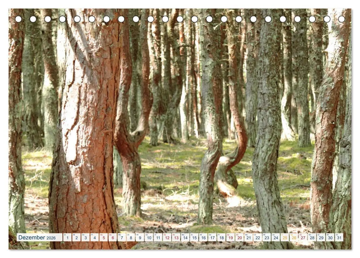 Bild: 9783457778487 | Kurische Nehrung: am längsten Ostsee-Strand (Tischkalender 2026 DIN...