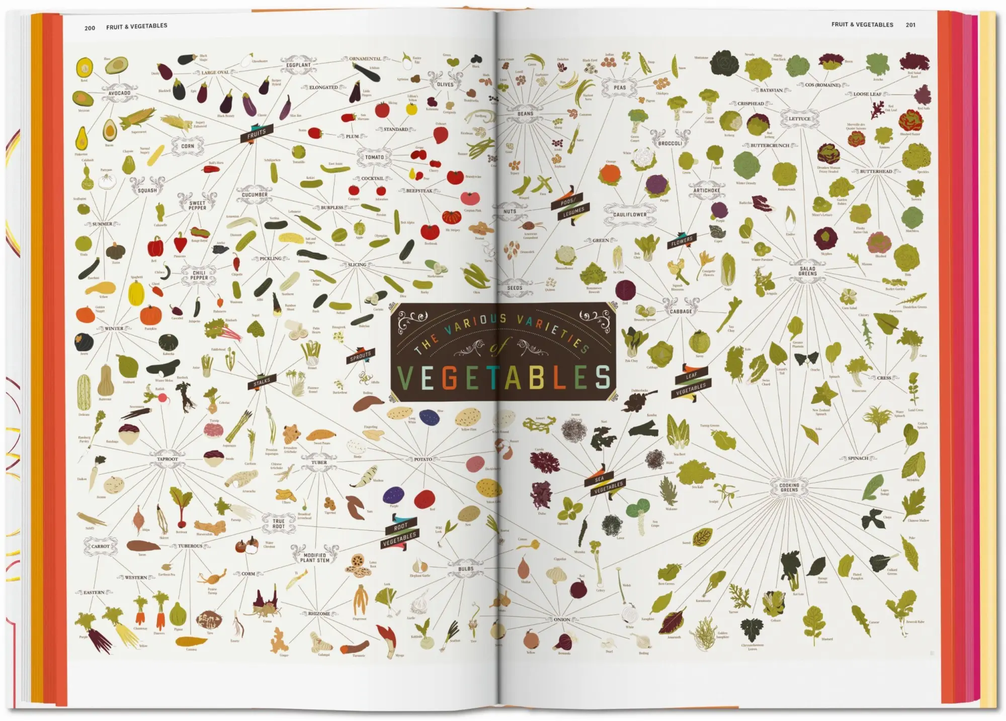Bild: 9783836568487 | Food &amp; Drink Infographics. A Visual Guide to Culinary Pleasures | Buch