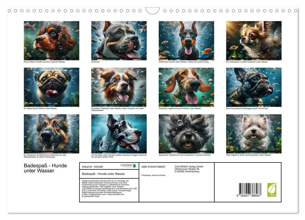 Bild: 9783457388587 | Badespaß - Hunde unter Wasser (Wandkalender 2026 DIN A3 quer),...