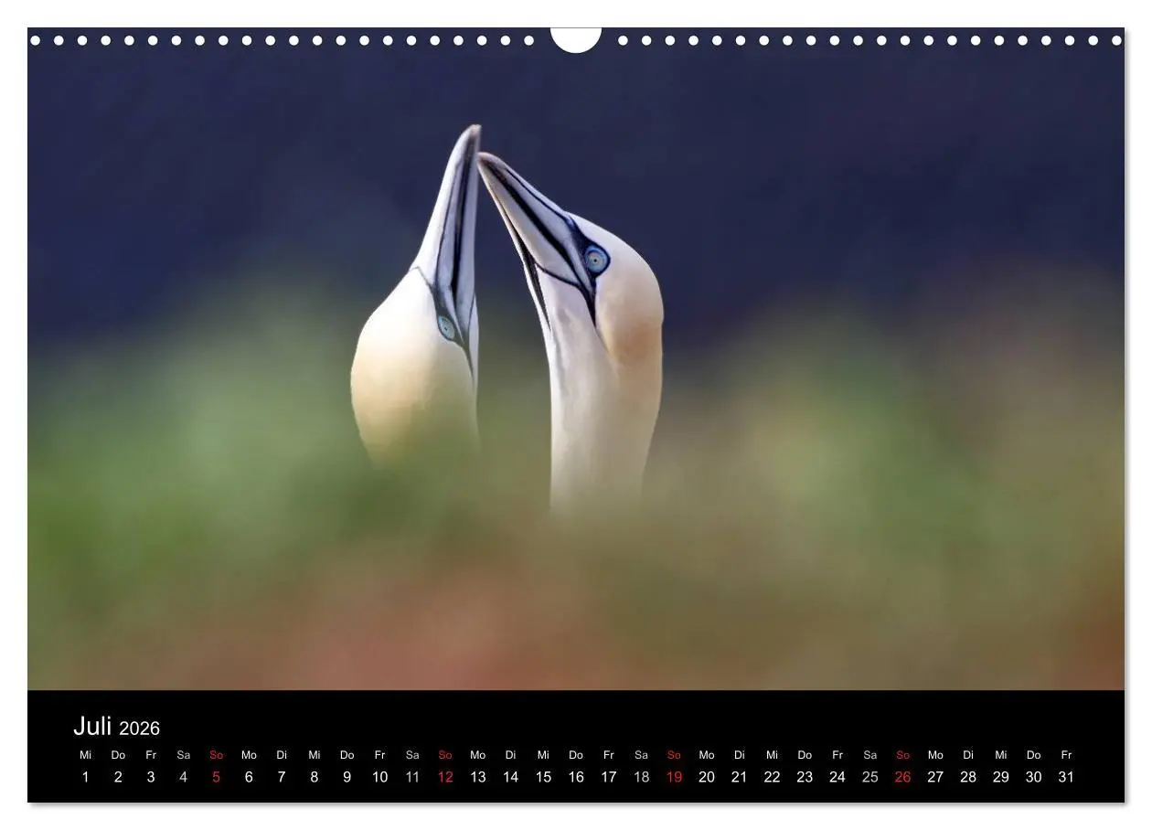 Bild: 9783516168587 | Helgoland (Wandkalender 2026 DIN A3 quer), CALVENDO Monatskalender