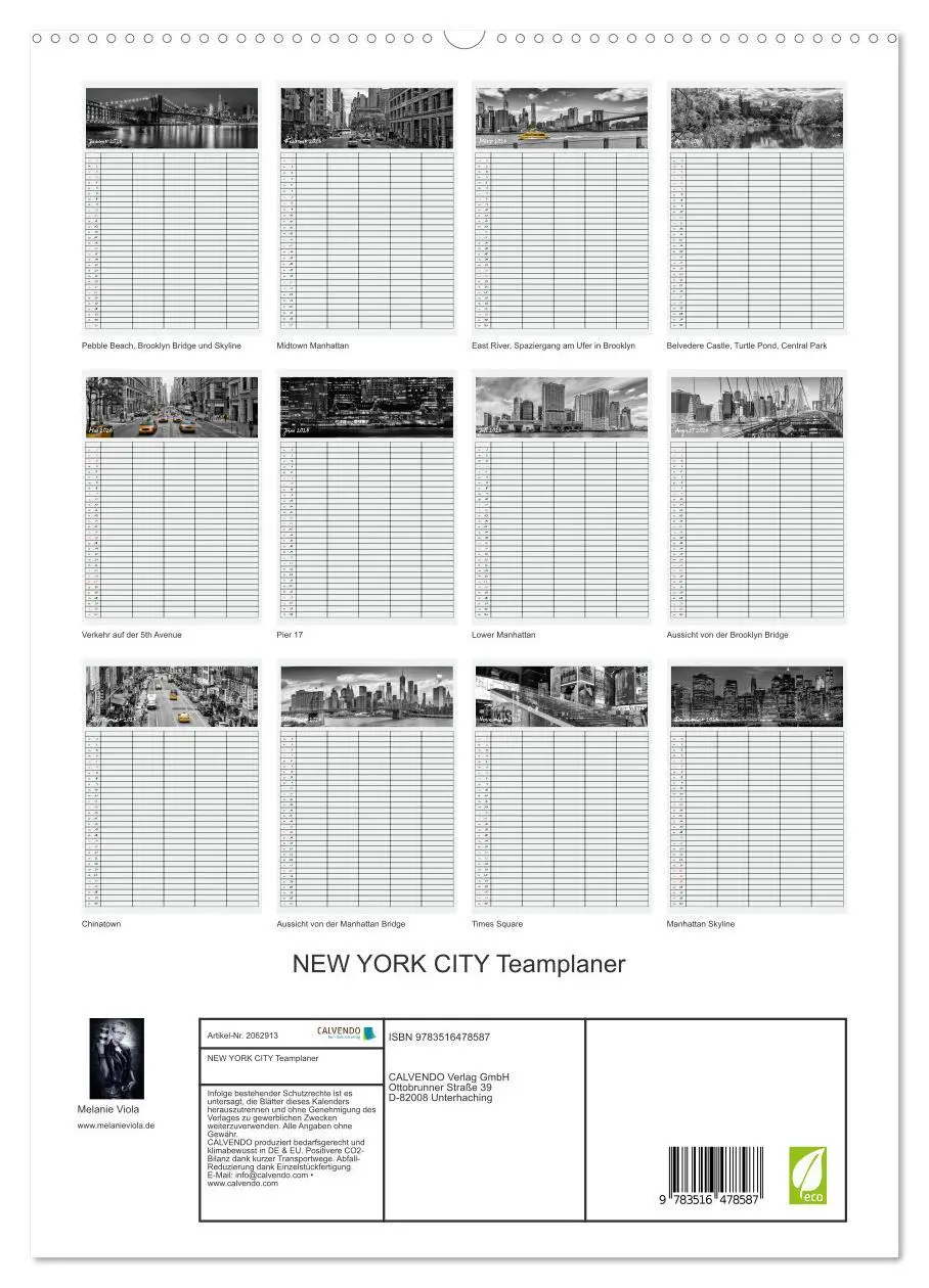 Bild: 9783516478587 | NEW YORK CITY Teamplaner (hochwertiger Premium Wandkalender 2026...