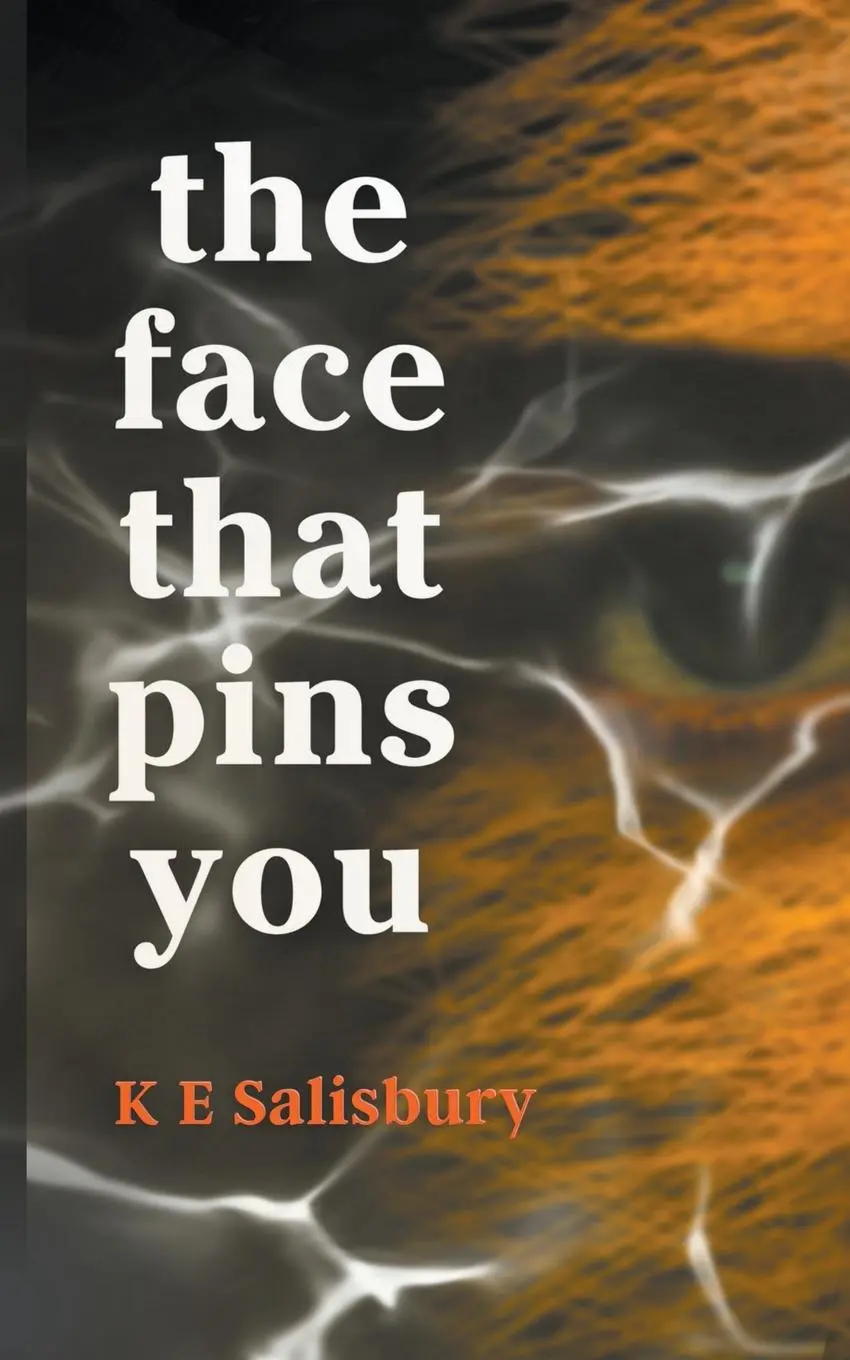 Cover: 9788409508587 | The Face That Pins You | K E Salisbury | Taschenbuch | Englisch | 2023