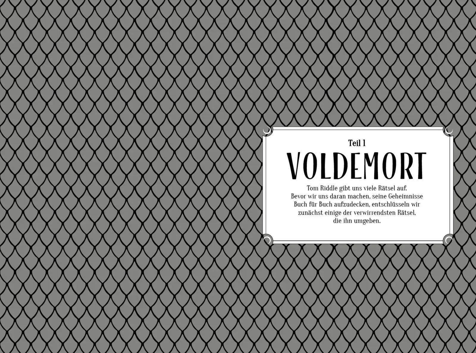 Bild: 9783742308887 | Voldemort | Grace Candido-Beecher | Taschenbuch | 352 S. | Deutsch