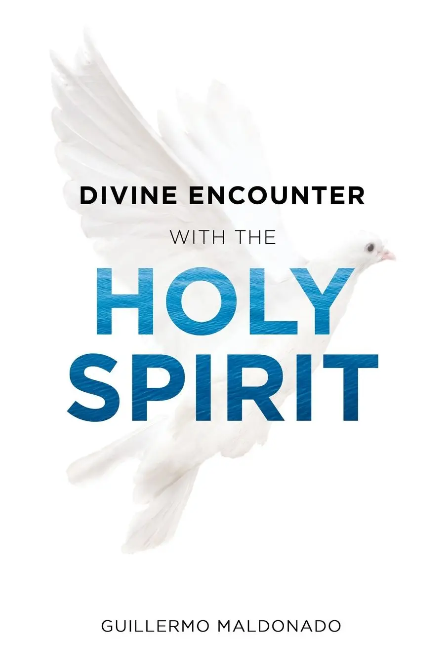 Cover: 9781629118987 | Divine Encounter with the Holy Spirit | Guillermo Maldonado | Buch