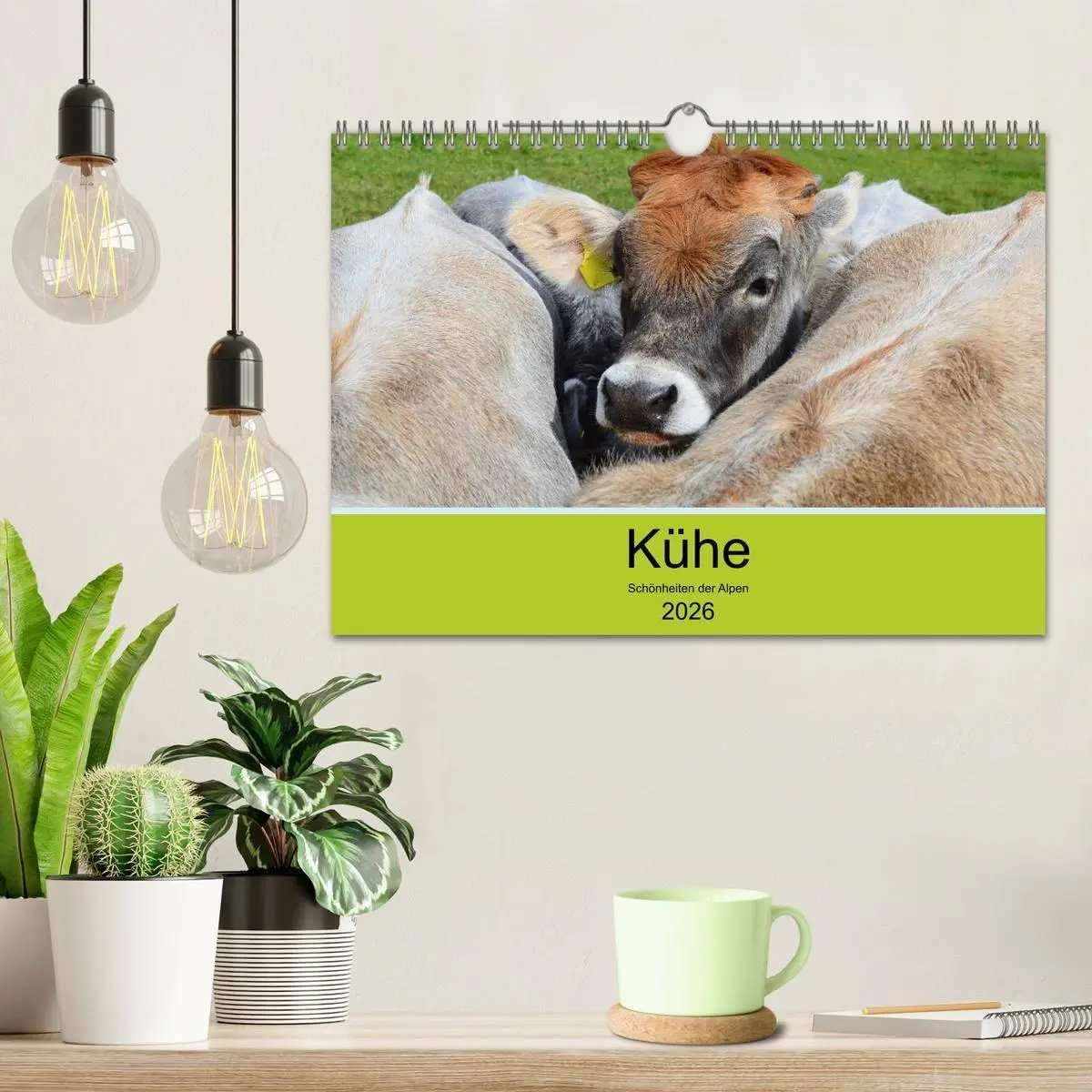 Bild: 9783516629187 | Kühe - Schönheiten der Alpen (Wandkalender 2026 DIN A4 quer),...