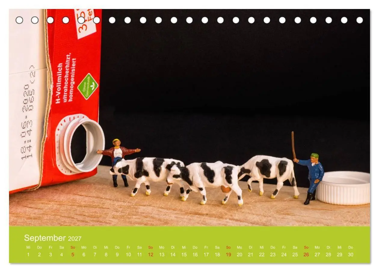 Bild: 9783569579187 | Neue Miniaturen - Klein ganz groß 2.0 (Tischkalender 2027 DIN A5...