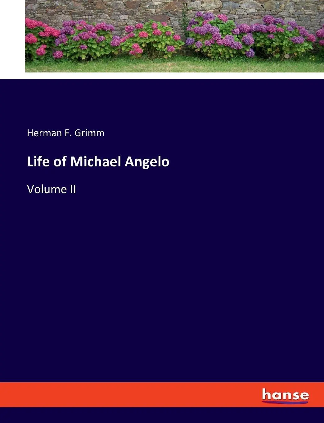 Life of Michael Angelo - Herman F Grimm Kartoniert (TB)