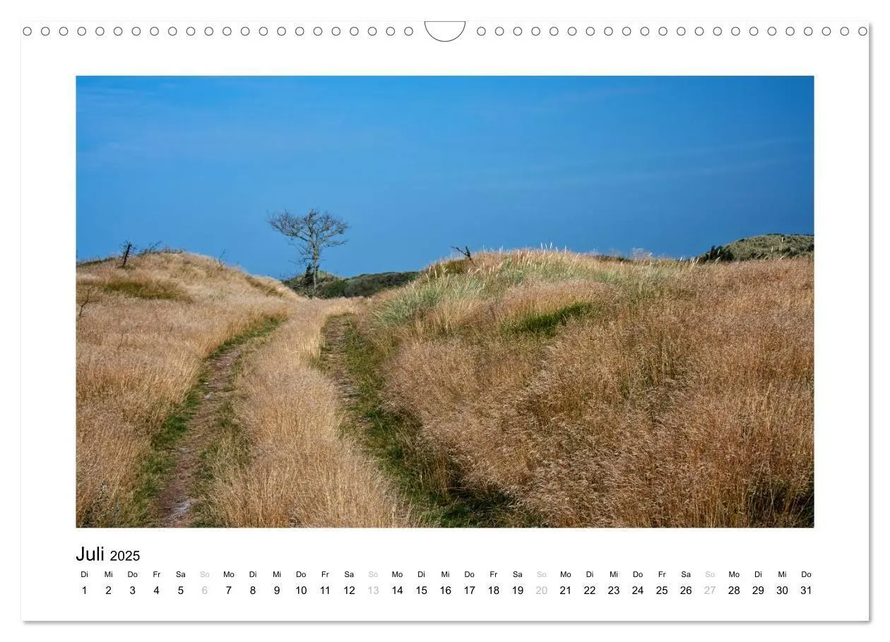 Bild: 9783435809387 | Dänemark - Danmark (Wandkalender 2025 DIN A3 quer), CALVENDO...