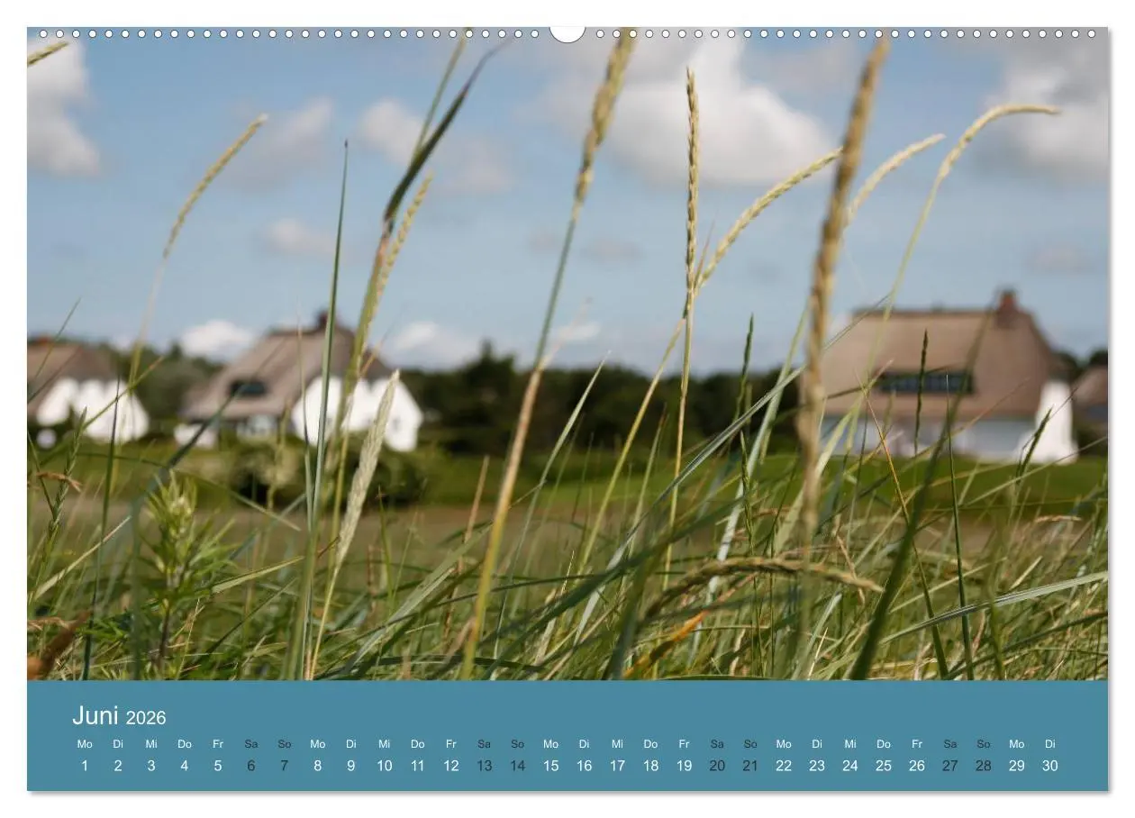 Bild: 9783516159387 | Föhr 2026. Porträt einer Insel (Wandkalender 2026 DIN A2 quer),...