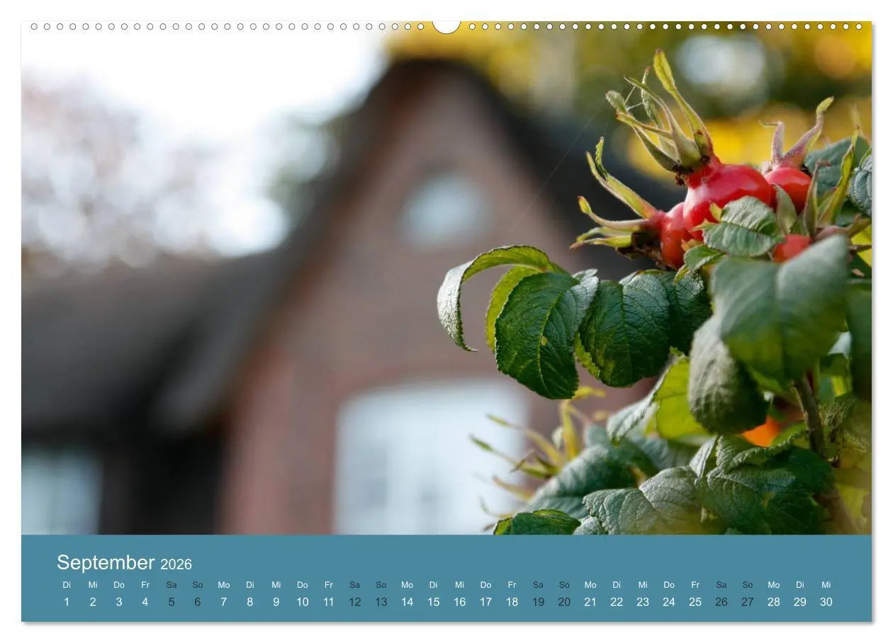 Bild: 9783516159387 | Föhr 2026. Porträt einer Insel (Wandkalender 2026 DIN A2 quer),...
