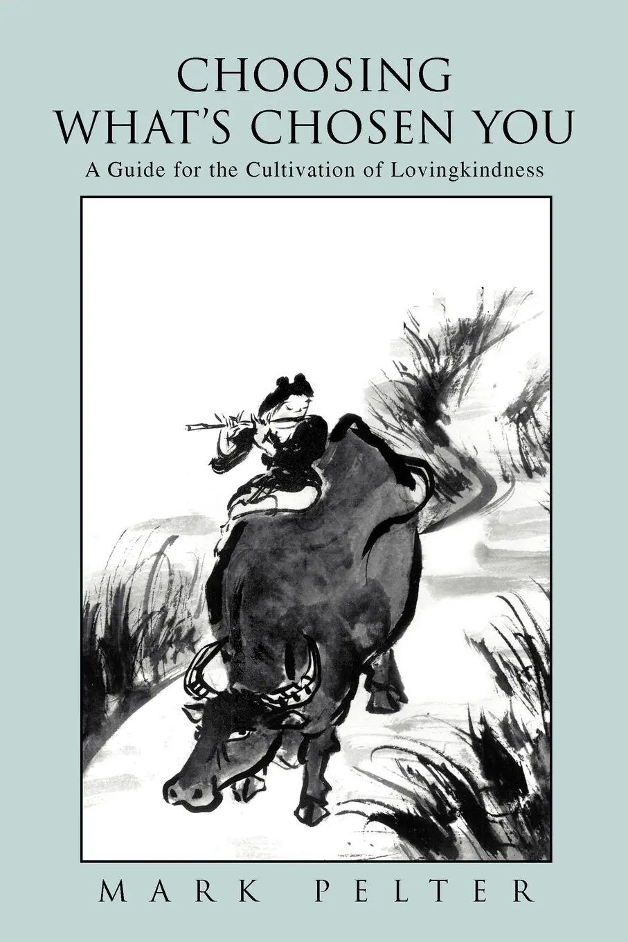 Cover: 9780595279487 | Choosing What's Chosen You | Mark Pelter | Taschenbuch | Englisch
