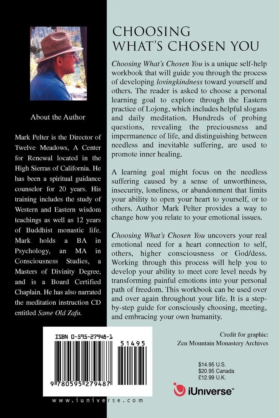 Rückseite: 9780595279487 | Choosing What's Chosen You | Mark Pelter | Taschenbuch | Englisch