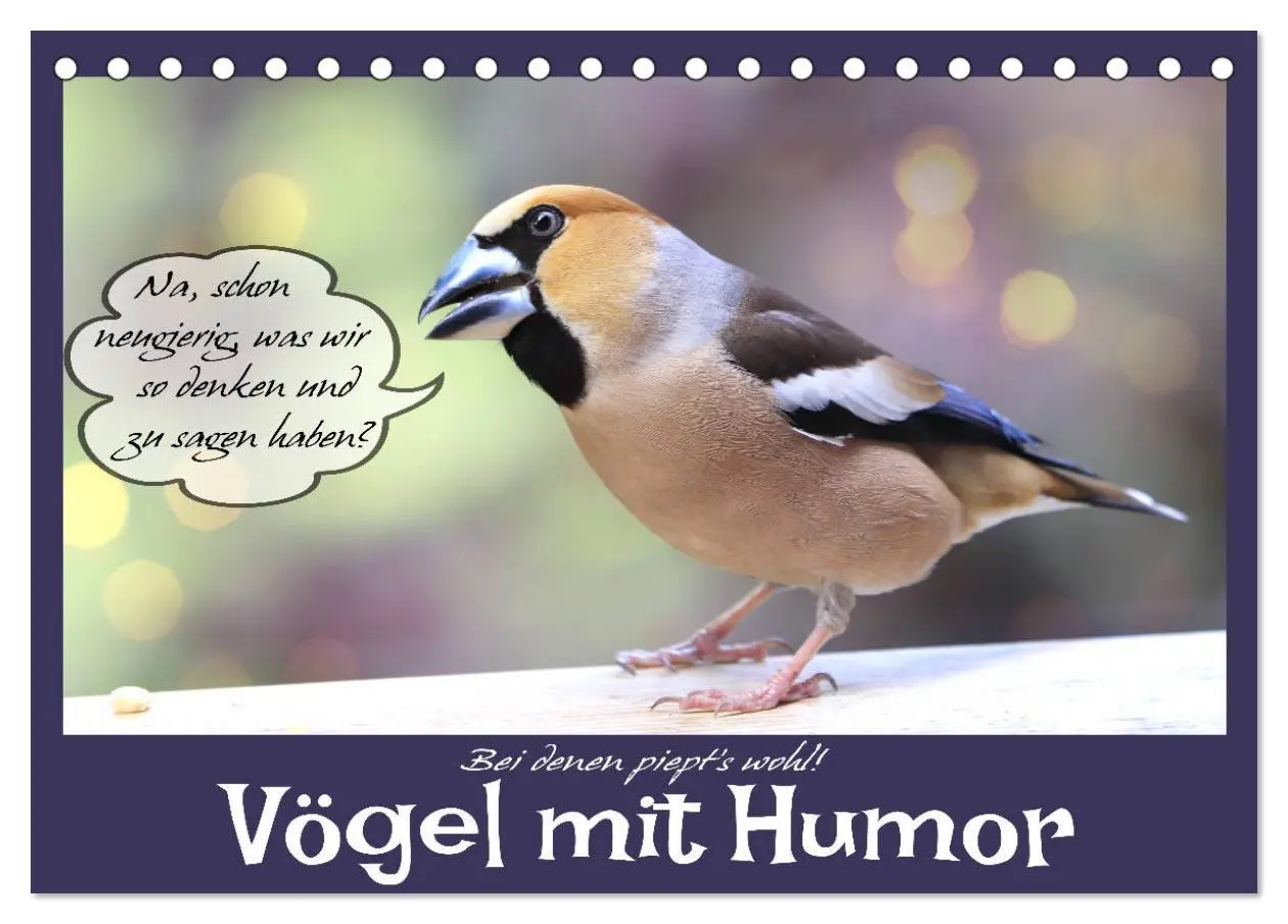 Cover: 9783457679487 | Vögel mit Humor (Tischkalender 2026 DIN A5 quer), CALVENDO...