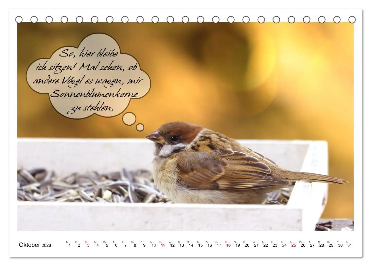 Bild: 9783457679487 | Vögel mit Humor (Tischkalender 2026 DIN A5 quer), CALVENDO...