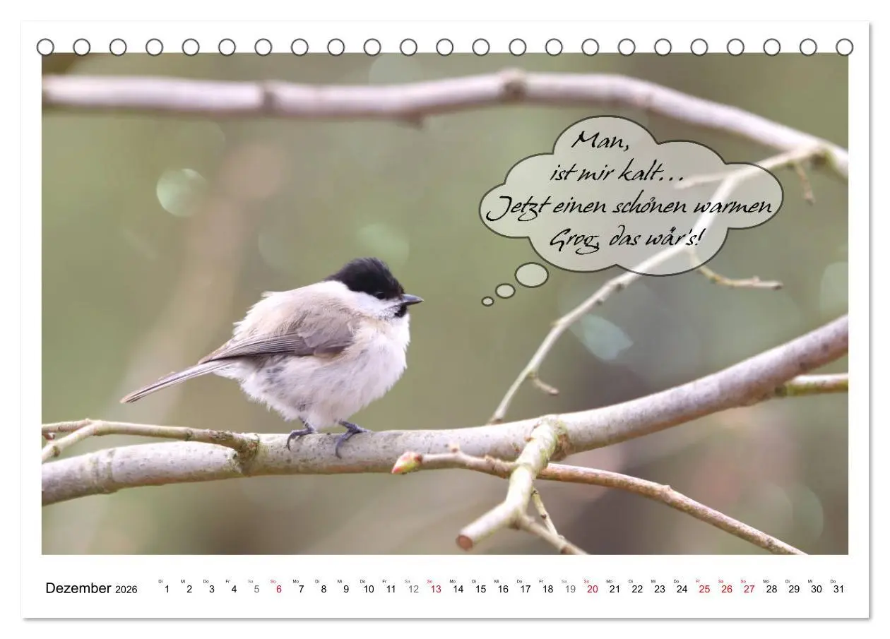 Bild: 9783457679487 | Vögel mit Humor (Tischkalender 2026 DIN A5 quer), CALVENDO...