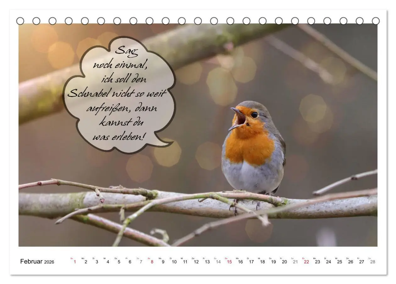 Bild: 9783457679487 | Vögel mit Humor (Tischkalender 2026 DIN A5 quer), CALVENDO...