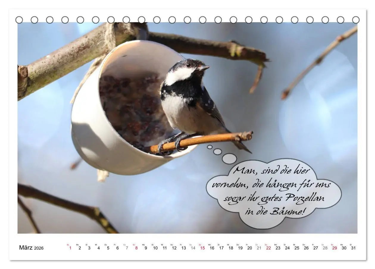 Bild: 9783457679487 | Vögel mit Humor (Tischkalender 2026 DIN A5 quer), CALVENDO...
