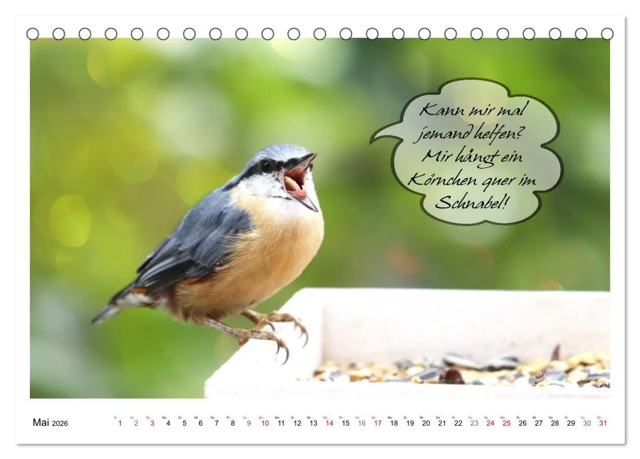 Bild: 9783457679487 | Vögel mit Humor (Tischkalender 2026 DIN A5 quer), CALVENDO...