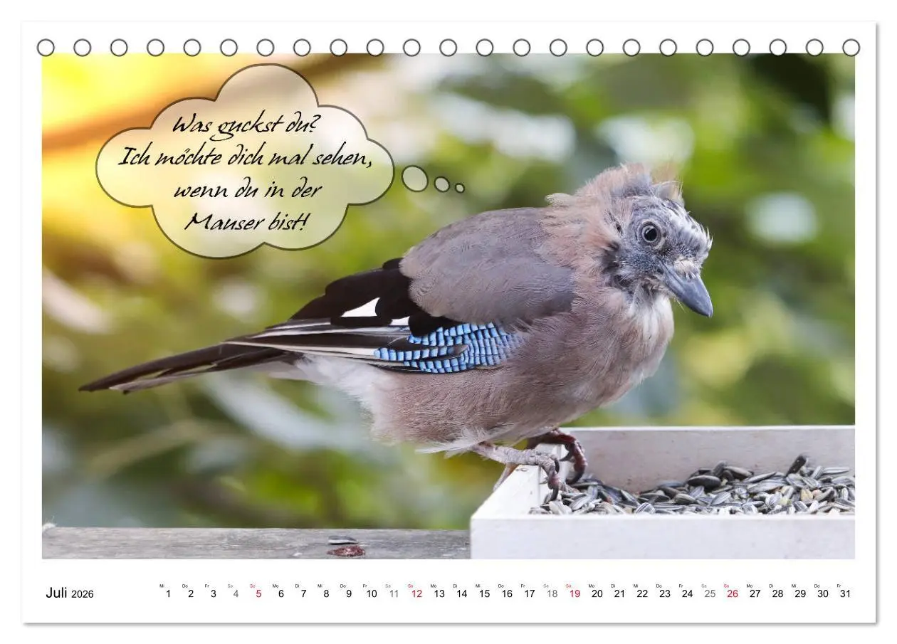 Bild: 9783457679487 | Vögel mit Humor (Tischkalender 2026 DIN A5 quer), CALVENDO...