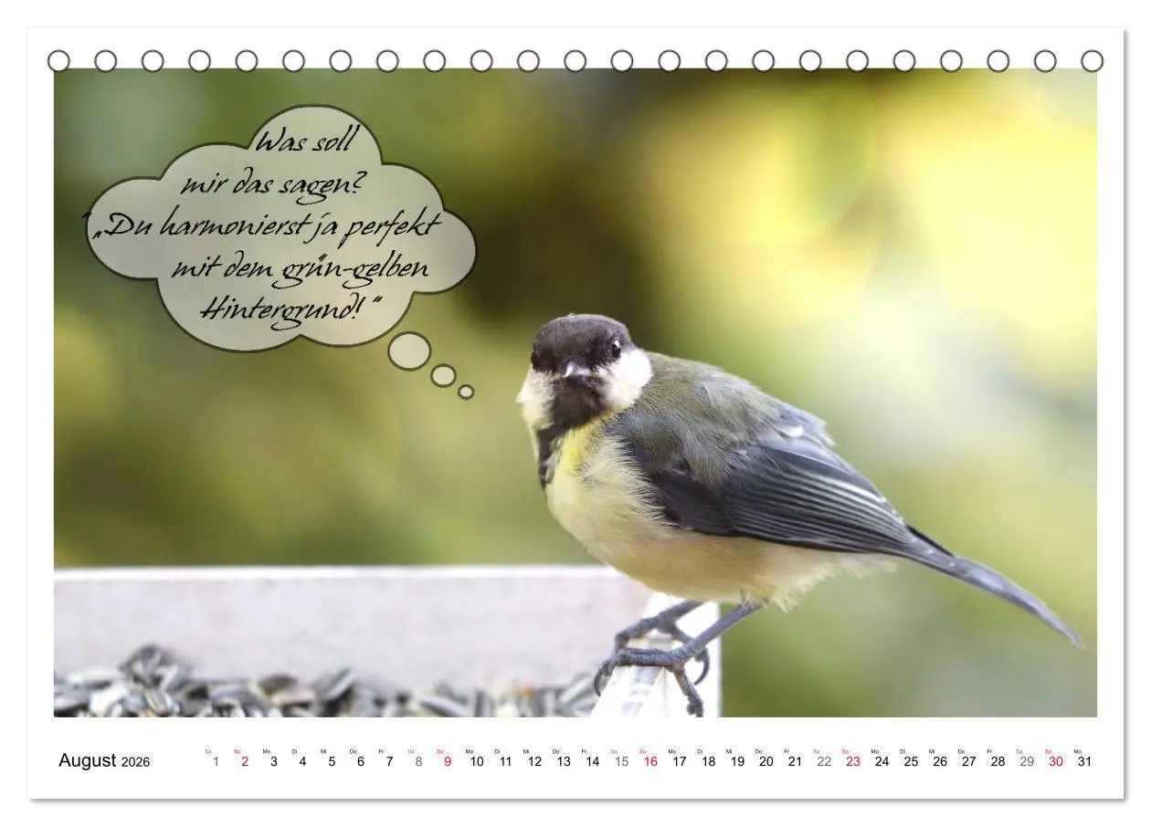Bild: 9783457679487 | Vögel mit Humor (Tischkalender 2026 DIN A5 quer), CALVENDO...