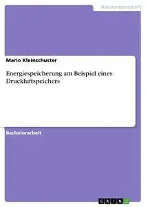 Cover: 9783656049487 | Energiespeicherung am Beispiel eines Druckluftspeichers | Taschenbuch