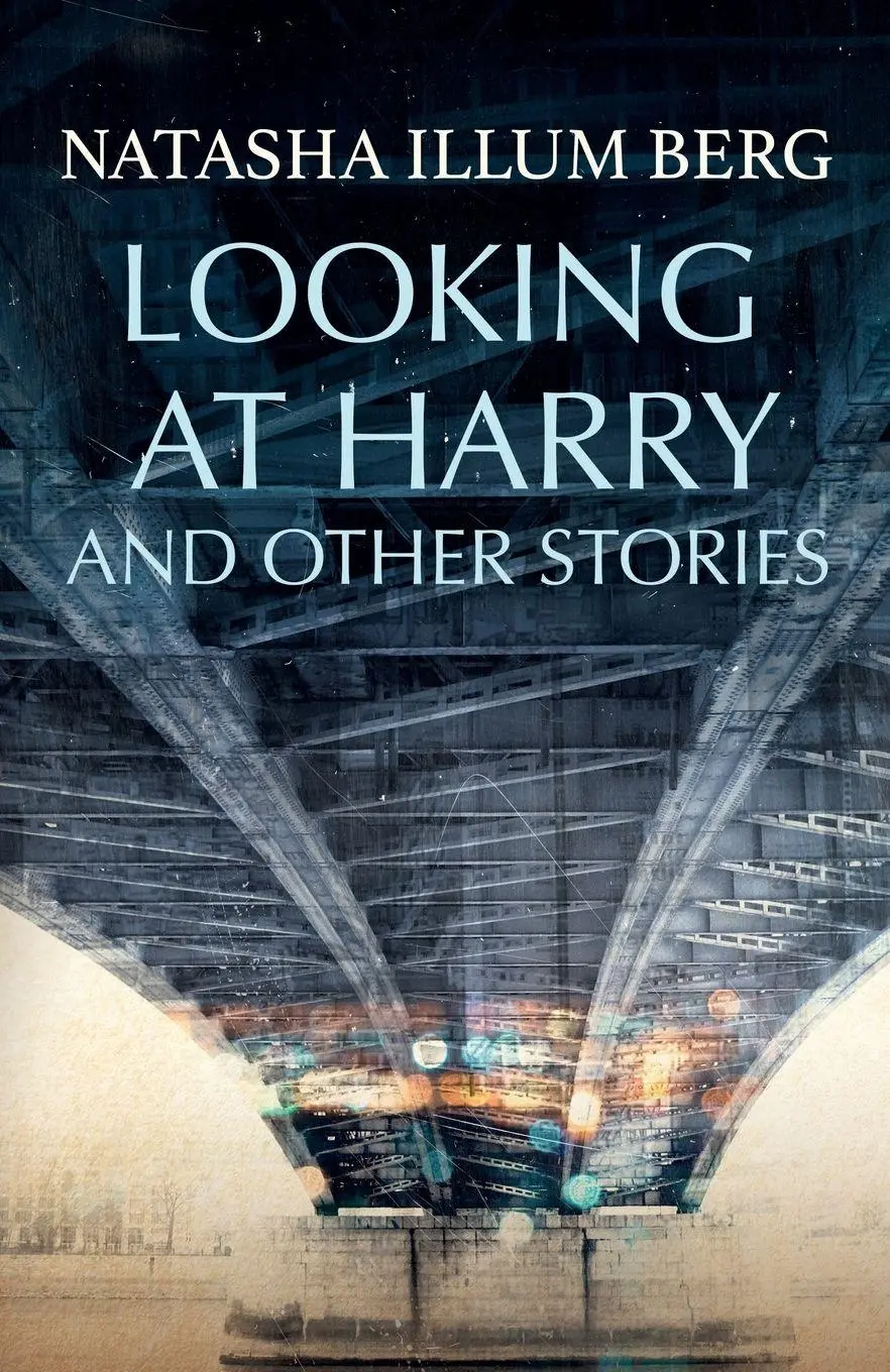 Cover: 9788727139487 | Looking at Harry and Other Stories | Natasha Illum Berg | Taschenbuch