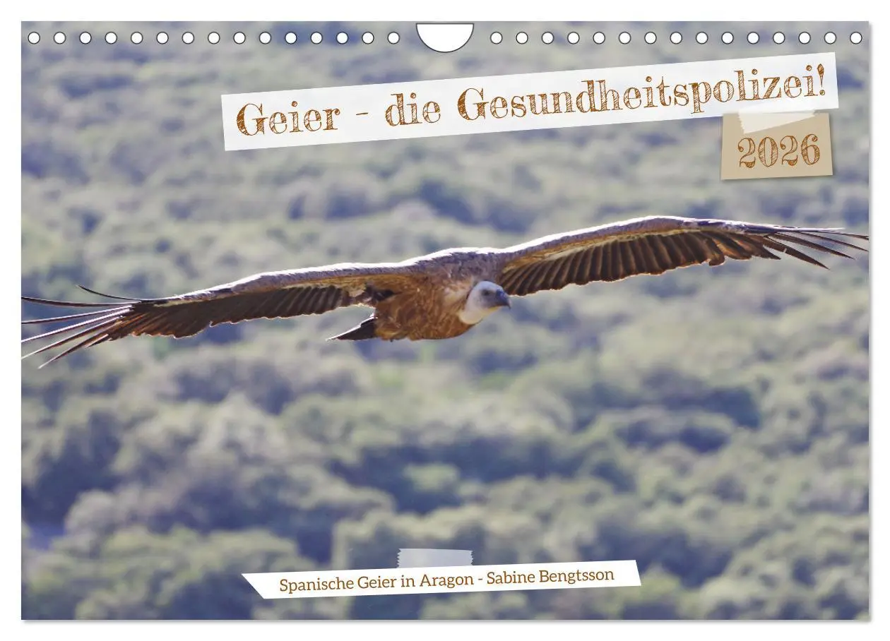 Cover: 9783457359587 | Geier - die Gesundheitspolizei! (Wandkalender 2026 DIN A4 quer),...
