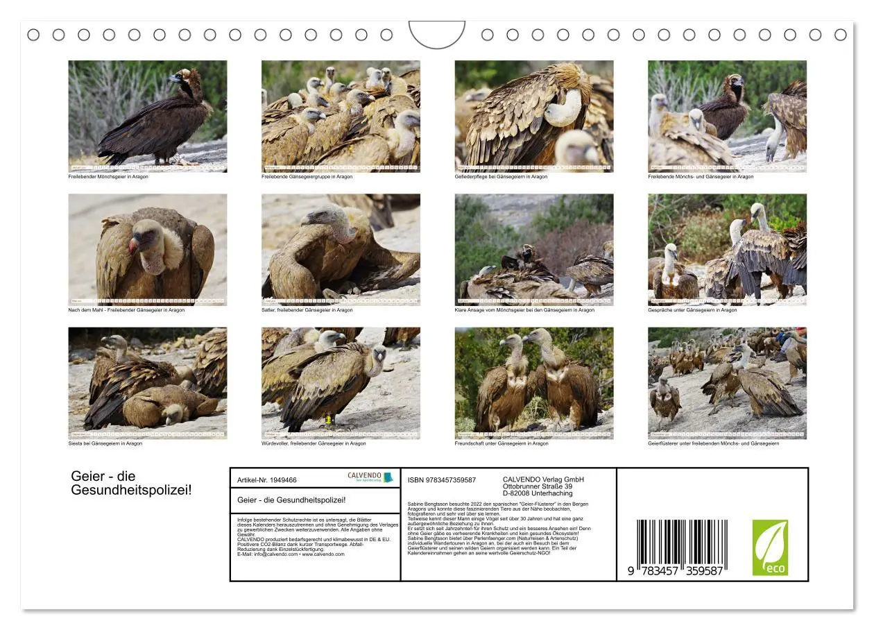 Bild: 9783457359587 | Geier - die Gesundheitspolizei! (Wandkalender 2026 DIN A4 quer),...
