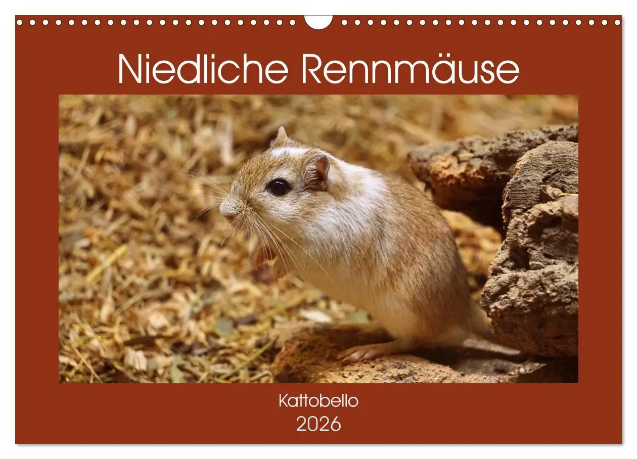 Cover: 9783457739587 | Niedliche Rennmäuse (Wandkalender 2026 DIN A3 quer), CALVENDO...