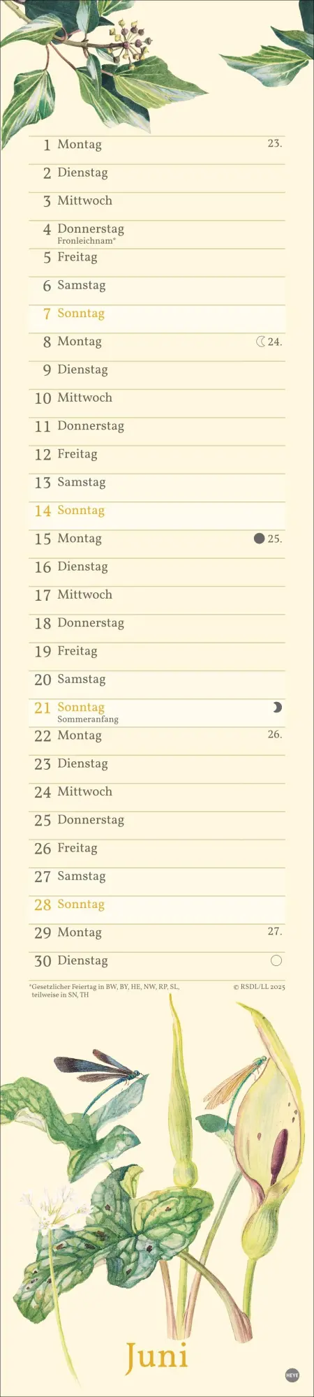 Bild: 9783756409587 | Edith Holden: Mit der Natur durchs Jahr Kalender 2026 | Edith Holden