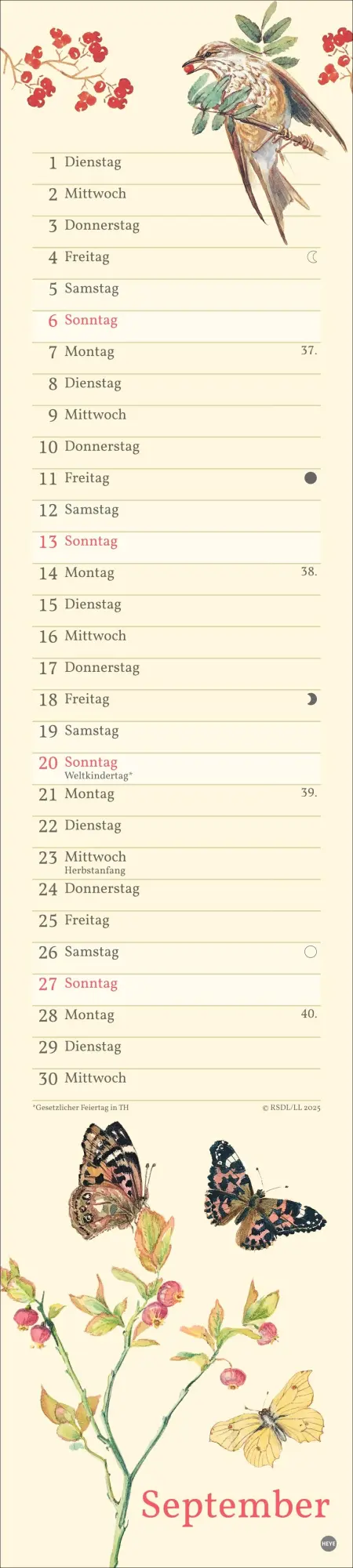 Bild: 9783756409587 | Edith Holden: Mit der Natur durchs Jahr Kalender 2026 | Edith Holden
