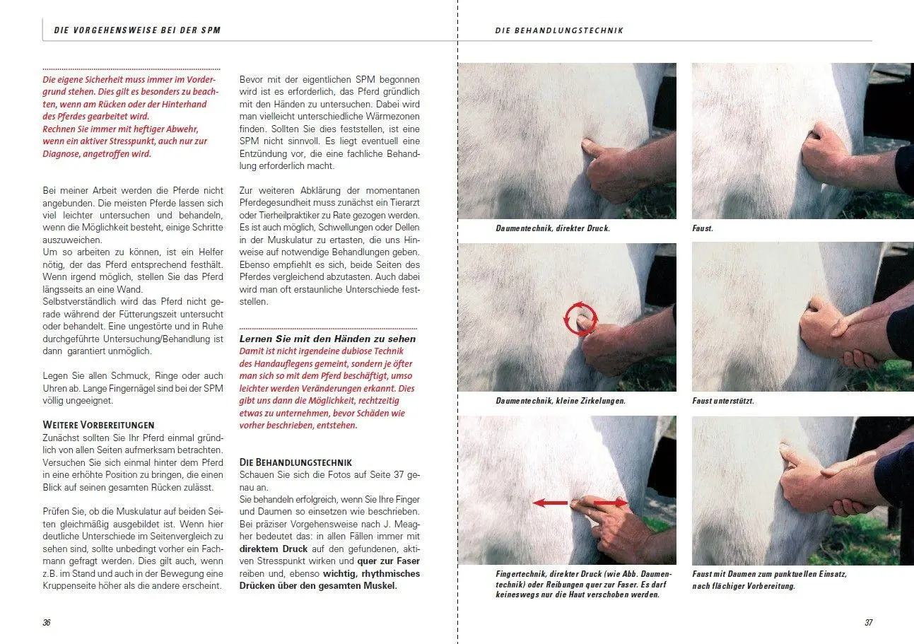 Bild: 9783275019687 | Stresspunktmassage nach Jack Meagher | Claus Teslau | Taschenbuch