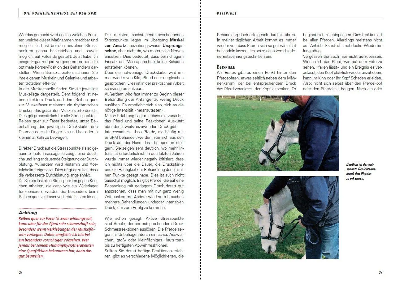 Bild: 9783275019687 | Stresspunktmassage nach Jack Meagher | Claus Teslau | Taschenbuch