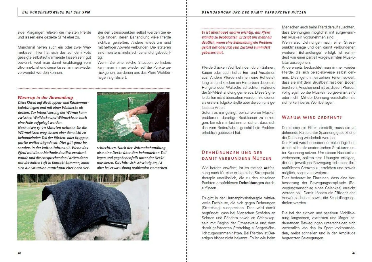 Bild: 9783275019687 | Stresspunktmassage nach Jack Meagher | Claus Teslau | Taschenbuch