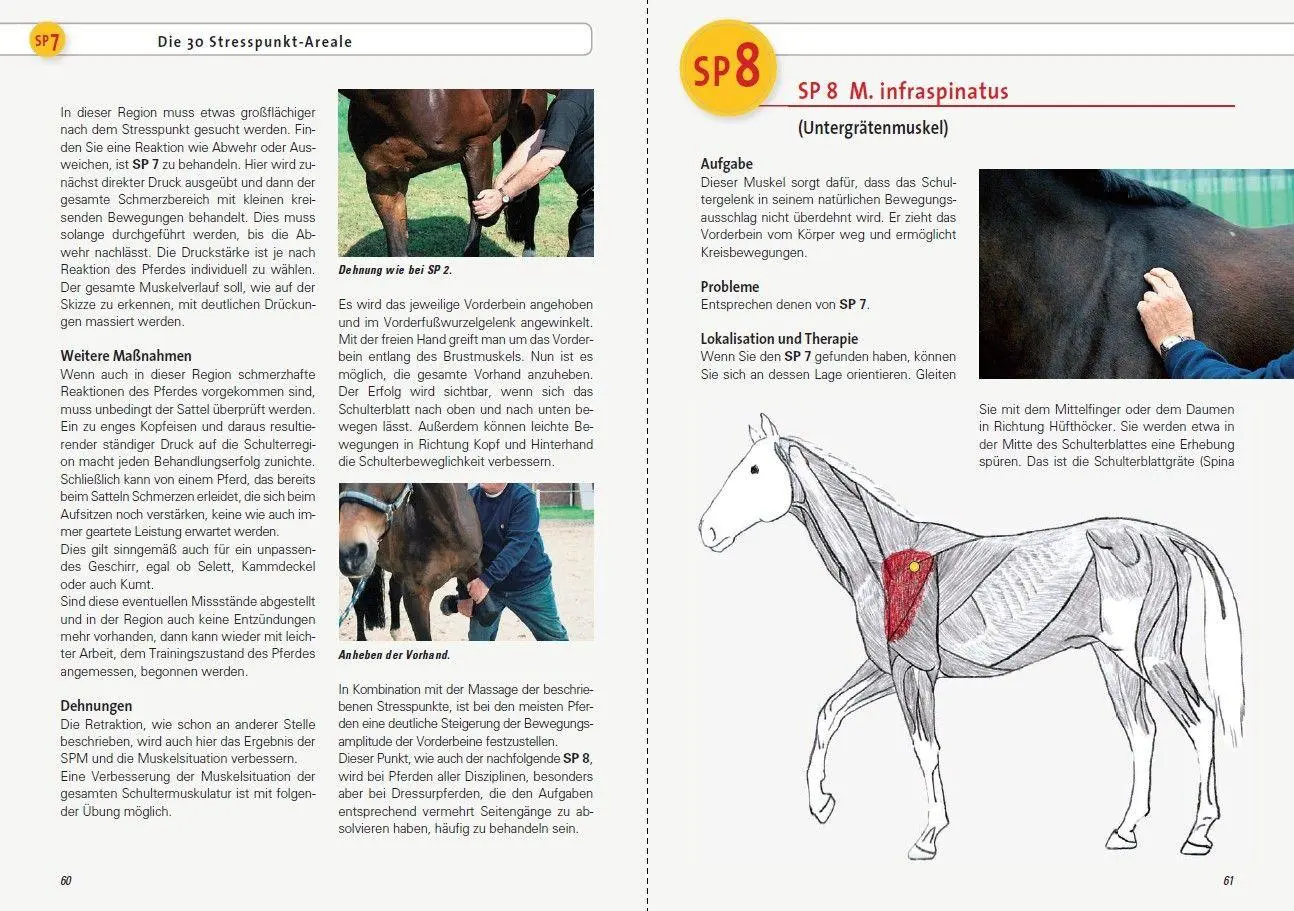 Bild: 9783275019687 | Stresspunktmassage nach Jack Meagher | Claus Teslau | Taschenbuch