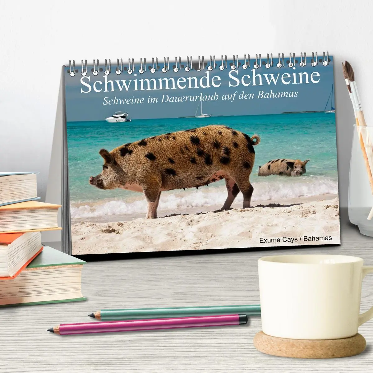 Bild: 9783457969687 | Schwimmende Schweine (Tischkalender 2026 DIN A5 quer), CALVENDO...