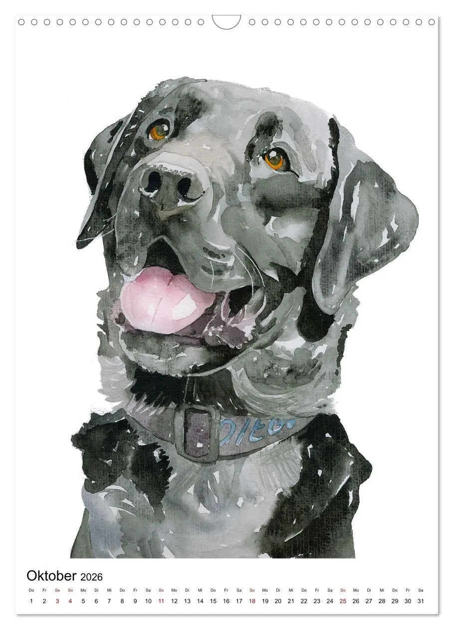 Bild: 9783516299687 | Hunde Porträts in Aquarell (Wandkalender 2026 DIN A3 hoch),...