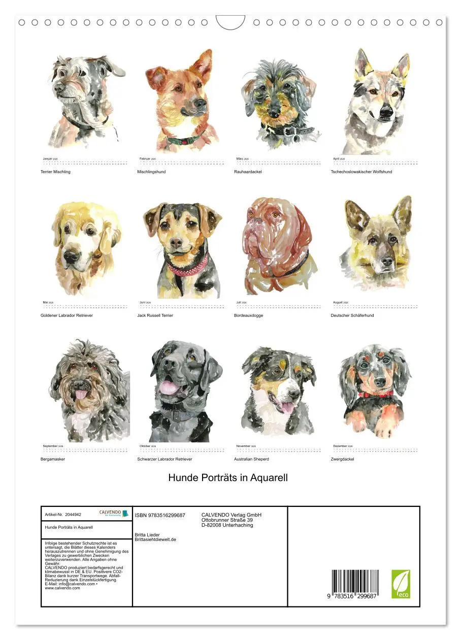 Bild: 9783516299687 | Hunde Porträts in Aquarell (Wandkalender 2026 DIN A3 hoch),...
