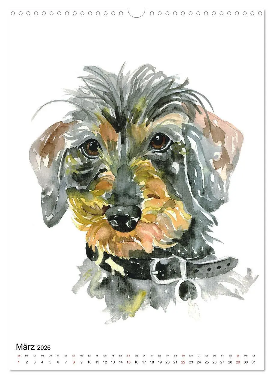Bild: 9783516299687 | Hunde Porträts in Aquarell (Wandkalender 2026 DIN A3 hoch),...