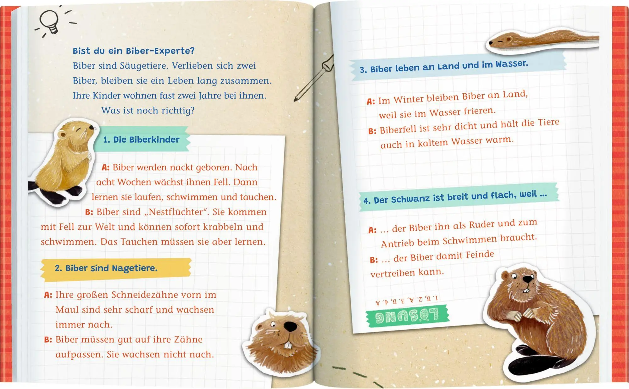 Bild: 9783649649687 | Emil Einstein (Leseanfänger, Bd. 1) | Die Biber sind los! | Suza Kolb