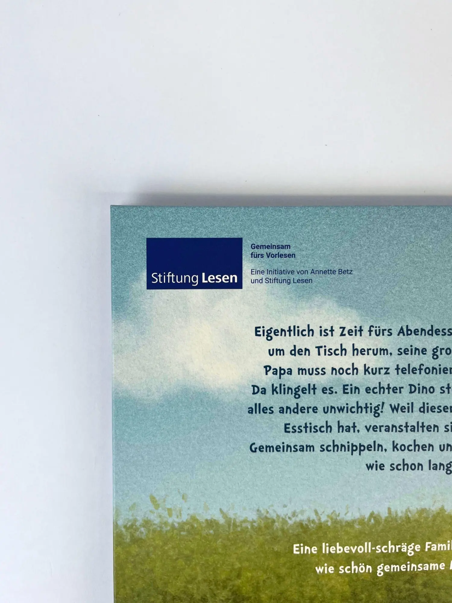 Bild: 9783219119787 | Picknick mit Dino | Britta Sabbag | Buch | 32 S. | Deutsch | 2026