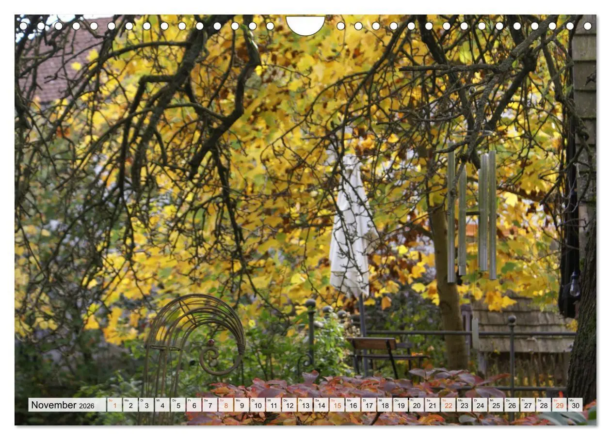 Bild: 9783457269787 | Momente im Garten (Wandkalender 2026 DIN A4 quer), CALVENDO...