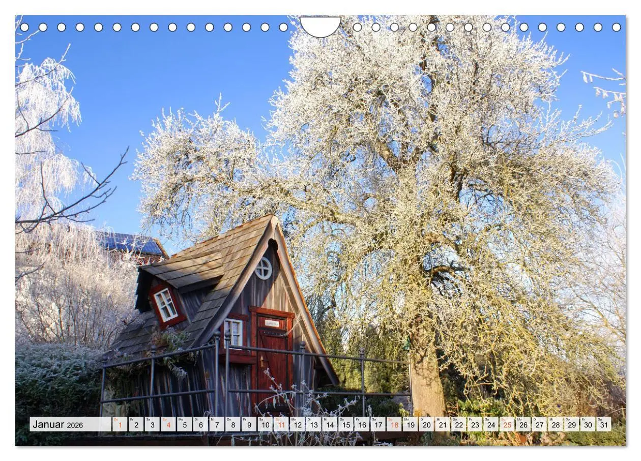 Bild: 9783457269787 | Momente im Garten (Wandkalender 2026 DIN A4 quer), CALVENDO...