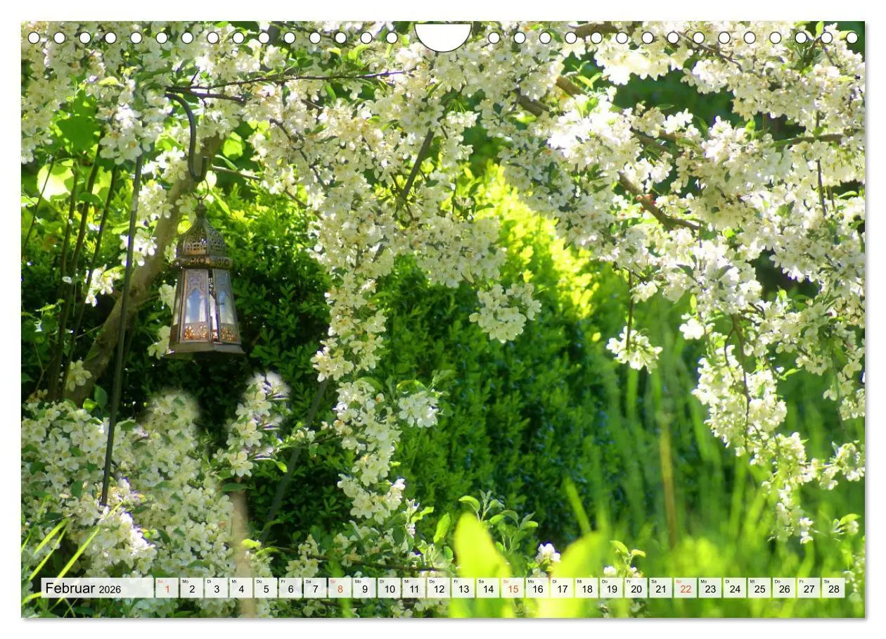 Bild: 9783457269787 | Momente im Garten (Wandkalender 2026 DIN A4 quer), CALVENDO...