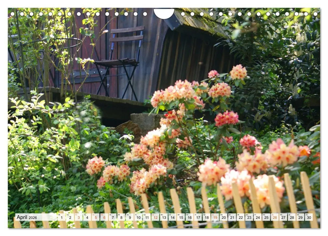 Bild: 9783457269787 | Momente im Garten (Wandkalender 2026 DIN A4 quer), CALVENDO...