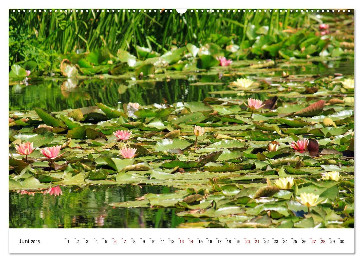 Bild: 9783457639887 | Normandie - zwischen Land und Meer (Wandkalender 2026 DIN A2 quer),...