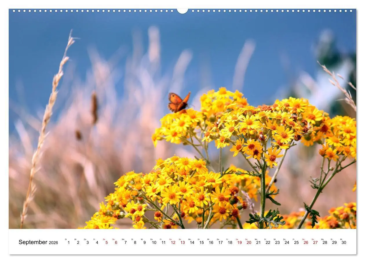 Bild: 9783457639887 | Normandie - zwischen Land und Meer (Wandkalender 2026 DIN A2 quer),...