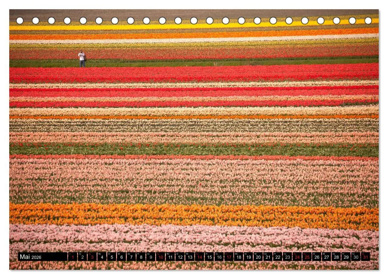 Bild: 9783516109887 | Niederlande - Un-Typisches aus Holland (Tischkalender 2026 DIN A5...